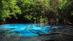 Emerald Pool
