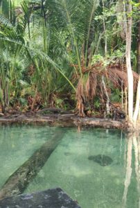 Krabi Nature Seeking